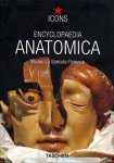  - icons , encyclopaedia anatomica, museo la specola florence