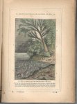 Jules Rengade - Le monde et la vie terrestres. Histoire de la création naturelle.