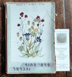 - Folded map with 24 coloured plates with flowers from Israël, Carmel. Complete as issued. - Folded map with 24 coloured plates with flowers from Israël, Carmel. Complete as issued.