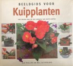 Sue Phillips - BEELDGIDS VOOR KUIPPLANTEN