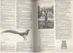 Sleeuwenhoek, Bastiaan (samenstelling) - Geillustreerd Nederlands woordenboek / speciale editie
