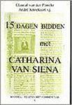 C. van der Plancke - Vijftien dagen bidden met Catharina van Siena / Mystieke teksten met commentaar / 8