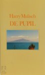 Harry Mulisch 10543 - De pupil