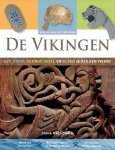 Fiona Macdonald - De Vikingen / Bezoek aan het verleden