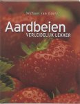 Stefaan Van Laere - Aardbeien