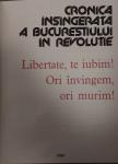 Stefan Mitroi - The Bloody chronicle of the Romanian revolution