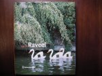 Hilde Pauwels - Roger Raveel monografiën over moderne kunst