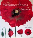 Perennou, Marie - The Metamorphosis of Flowers