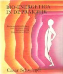 Schwieger, Casar - Bio-energetica in de praktijk. Bio-energetische oefeningen, soefi-gymnastiek, dynamische meditatie