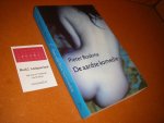 Pieter Boskma - De aardse komedie een roman-gedicht