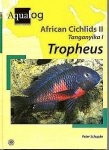 Schupke , Peter . [ isbn 9783936027389 ]  inv  2516 - Aqualog African Cichlids II Taganyika I - Tropheus