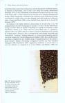 H. Randall Hepburn, Sarah E. Radloff - Honeybees of Asia
