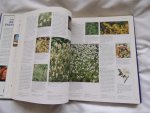 Bown, Deni - DuMont's grosse Kräuter-enzyklopädie