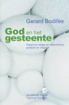 Gerard Bodifee, Gerard Bodifee - God en het gesteente
