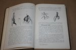 C. Oudemans - Leerboek der Plantkunde --  Vormleer en rangschikking