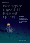 [{:name=>'Pieter Van Dooren', :role=>'A01'}] - In de diepzee is geen licht (maar wel rijkdom)