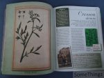 Nathalie Bucsek / Michel Viard. - Plantes aromatiques.