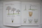 Prat, Jean-Yves - Compleet handboek Fruit in de tuin - stap voor stap uitgelegd ( 3 foto's )