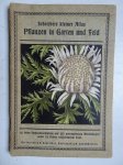 (Schreiber). - Schreibers kleiner Atlas. Pflanzen in Garten und Feld. 16 feine Farbendrucktafeln mit 135 naturgetreuen Abbildungen nebst 32 Seiten erläuterndem Text. (Schreiber). - Schreibers kleiner Atlas. Pflanzen in Garten und Feld. 16 feine Farbendrucktafeln mit 135 naturgetreuen Abbildungen nebst 32 Seiten erläuterndem Text.