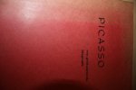  - PICASSO een geillustreerde biografie.