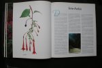 GOEDMAN-FRANKEMA - Botanische FUCHSIA'S