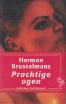 Brusselmans (born 9 October 1957 in Hamme, Belgium), Herman Frans Martha - Logica voor idioten