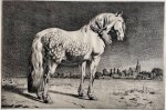 Ignace-Joseph de Claussin (1766-1844) [?] after Paulus Potter (1625-1654) - Antique print, etching | The Frisian horse, published ca. 1800, 1 p.