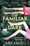 Amy Engel 137913 - The Familiar Dark The must-read, utterly gripping thriller you won't be able to put down