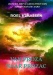 Roel Klaassen - Van Proza naar Prozac