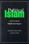 Joel Beinin - Political Islam