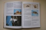 Esther Verhoef - Encyclopedie: Geillustreerde Konijnen & Knaagdieren Encyclopedie hamsters, muizen, ratten, gerbils, fretten, konijnen, chinchilla's enz.