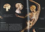 Tsiaras, A. - De architectuur van het menselijk lichaam / het wonder van de mens in 500 magistrale beelden