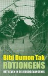 Bibi Dumon Tak - Rotjongens