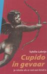 Sybille Labrijn - Cupido in gevaar - je relatie als er net een kind is