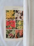 Hana Kees - Tuinbloemen : handboek voor de liefhebber : bloeiende planten en varens in het gematigde klimaat van Europa en Amerika