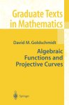 David Goldschmidt - Algebraic Functions and Projective Curves
