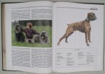 Bruin, Stephe ( hoofdredactie ) - Nieuwe geïllustreerde honden-encyclopedie / mijn hond mijn vriend
