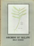 Morris, Brian - Orchids of Malawi