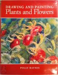 Polly Raynes - Drawing and Painting Plants and Flowers