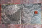 Johnson, Jinny. - De prehistorie verklaard. - Een beginnersboek over de wereld van de dinosaurussen.