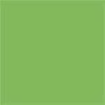 Baardewyk - Wie zei dat er gebeuren geen wonderen