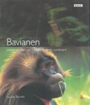 Louise Barrett 42937 - Bavianen overlevenden van het Afrikaanse continent