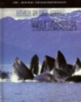 Richard Spilsbury, Louise Spilsbury - Leven in een ...  -   leven in een groep walvissen