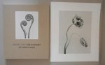 VOIT, Robert - Robert Voit - The Alphabet of New Plants + Print 13/25 signed. - [New].