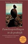 indra Torsten Preiss - Familieopstellingen in de praktijk / de systemische dynamiek achter relatieproblemen, opvoedingsproblemen en ziektes