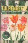 M. Dash - Tulpengekte