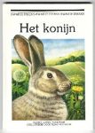 Laurey, Harriet / Ruud Rook met illustraties in kleur van Tilman Michalski - Het konijn
