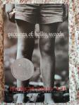 Giff, Patricia Reilly - Pictures of Hollis Woods