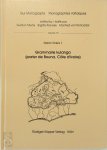 Stefan Elders - Grammaire kulango (parler de Bouna, Cote d'Ivoire)