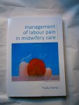 Klomp, Trudy - Management of labour pain in midwifery care